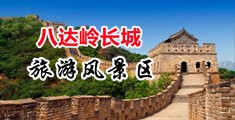 嗯嗯啊啊草逼视频网站中国北京-八达岭长城旅游风景区